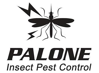 PALONE